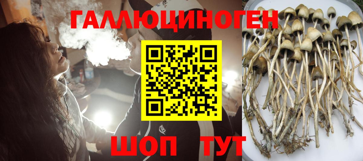 наркота  Галлюциногенные грибы Cubensis  Вход с VPN  Рубцовск 