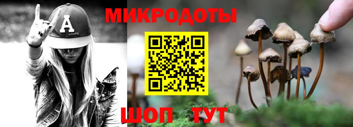 Псилоцибиновые грибы мухоморы Рубцовск